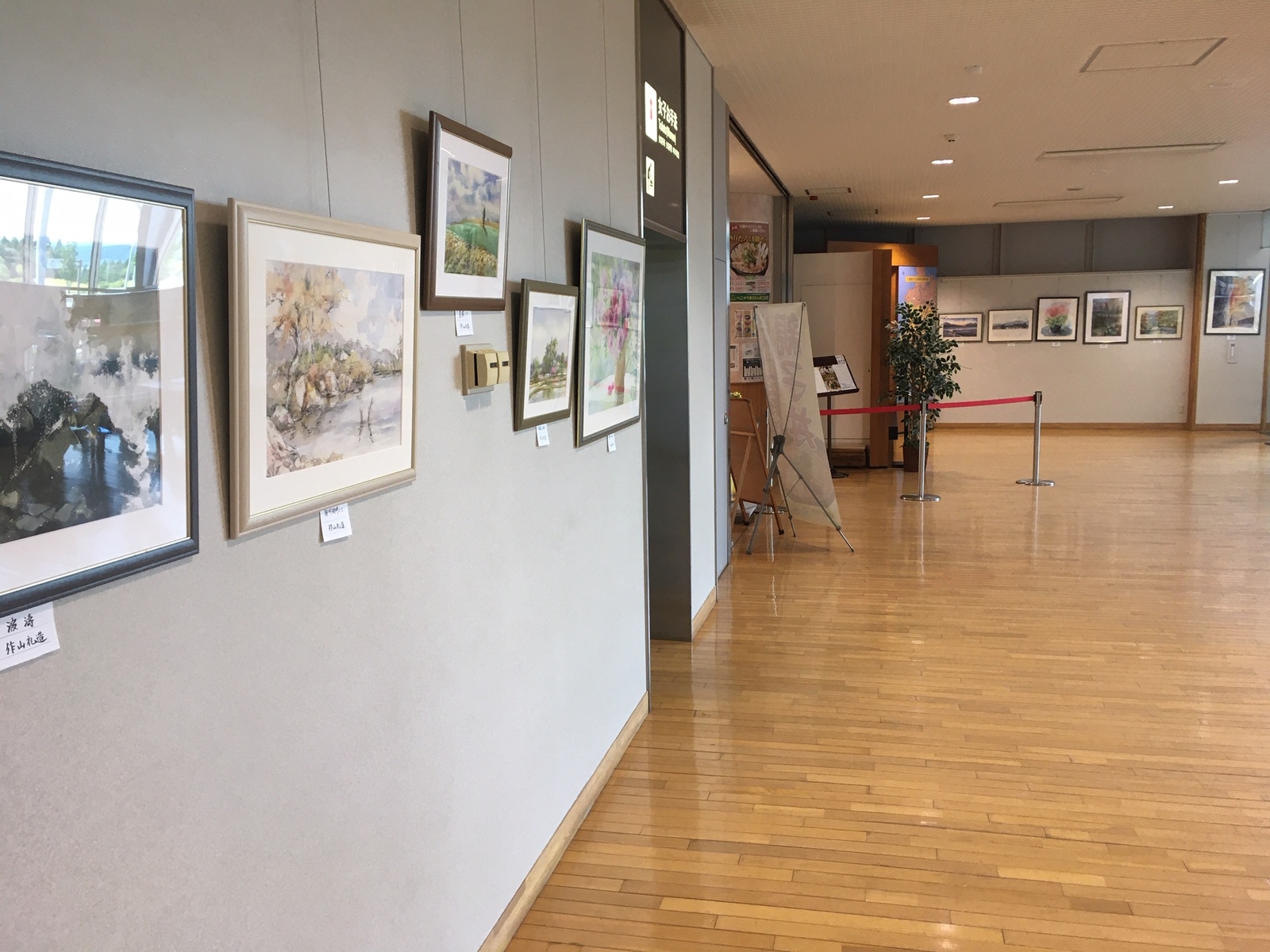 展示されている水彩画18点の様子