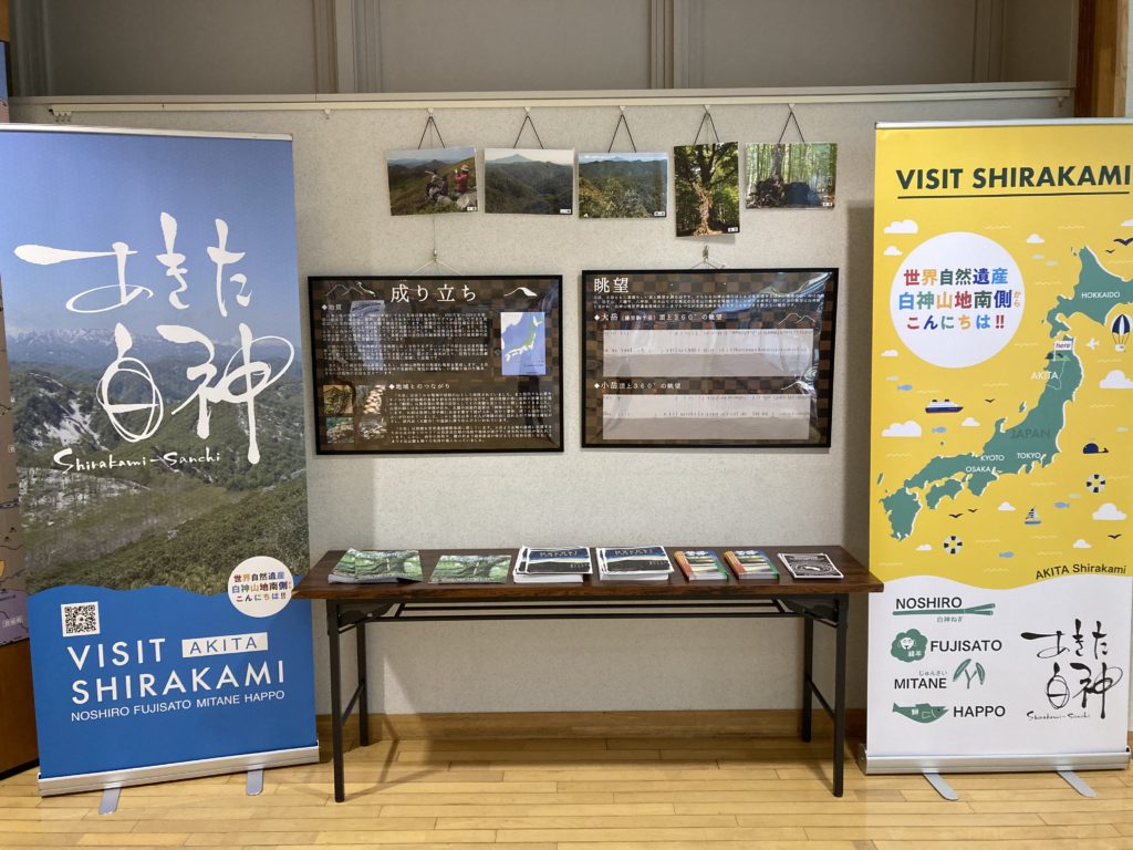 世界自然遺産『白神山地』についての展示の様子