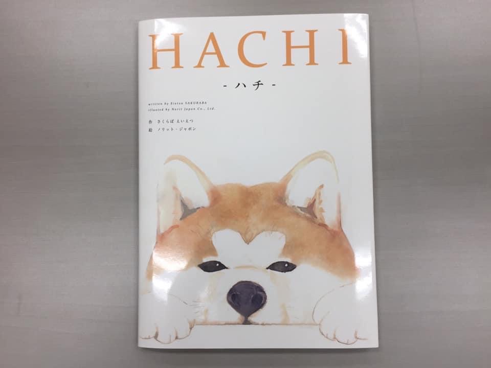 HACHI -ハチ-