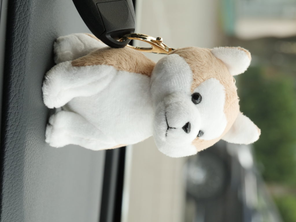 車のキーに取り付けた「秋田犬ぬいぐるみ」のキーホルダーの写真